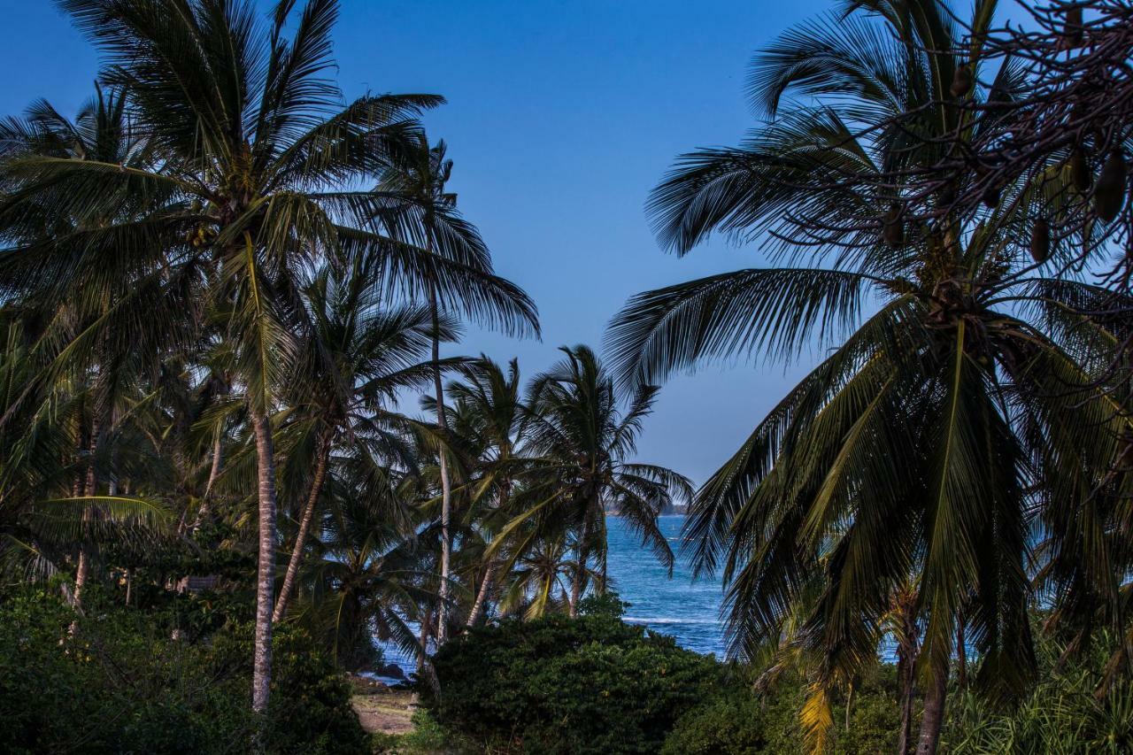 Msambweni Beach House Villa Exterior foto